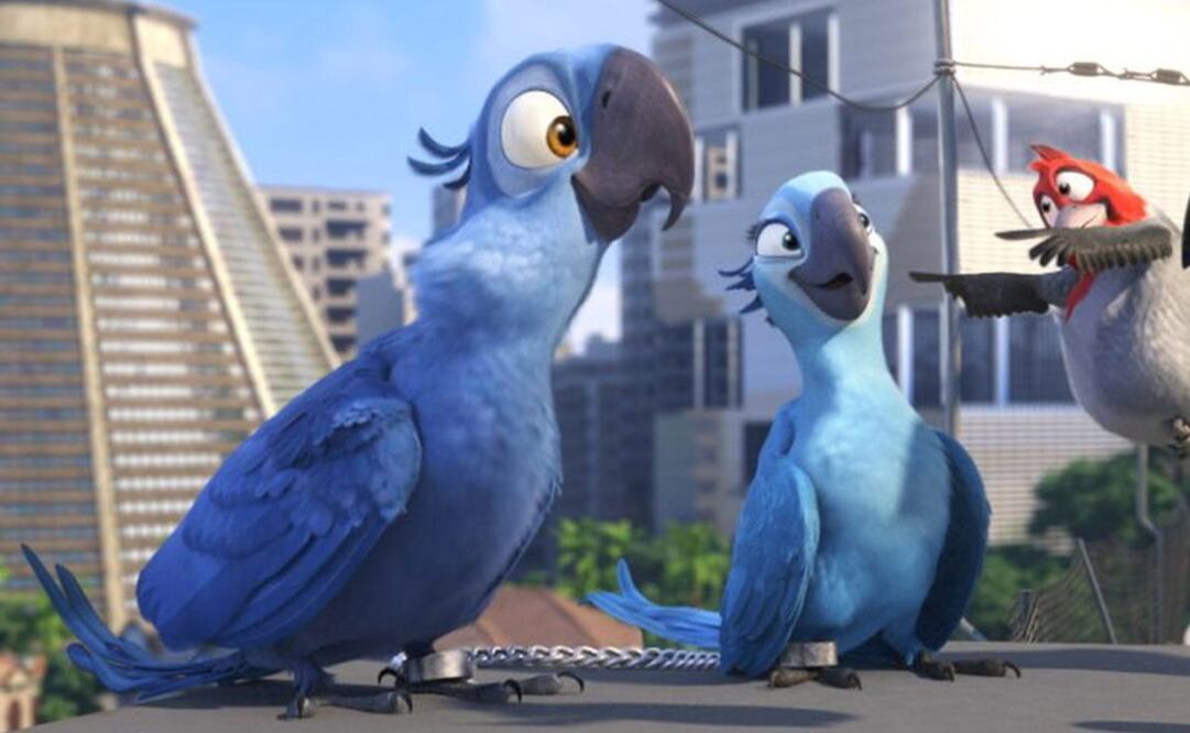 En 2014 la segunda entrega de esta película animada nos presenta una historia que puede ser real, encontrar de nuevo esta ave en su hábitat (ARCHIVO.EFE)