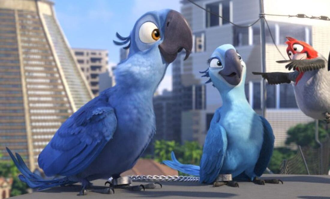 En 2014 la segunda entrega de esta película animada nos presenta una historia que puede ser real, encontrar de nuevo esta ave en su hábitat (ARCHIVO.EFE)