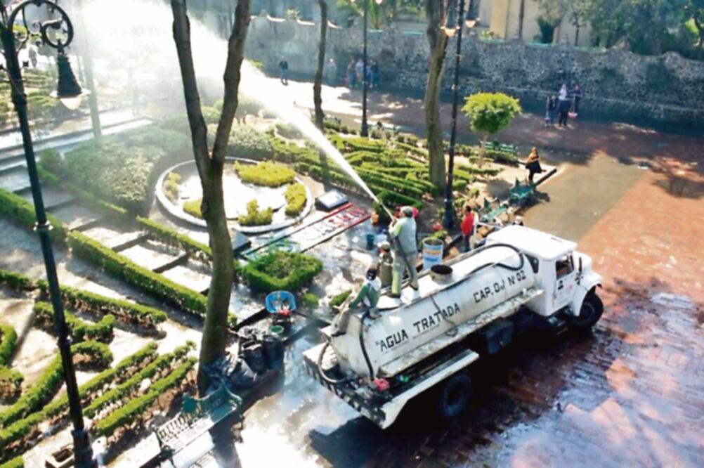 Trabajadores de la delegación recolectaron basura y hojarasca, podaron áreas verdes, entre otras actividades (DELEGACIÓN COYOACÁN)