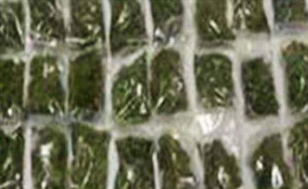 Arrestan a 3 presuntos narcomenudistas en Edomex