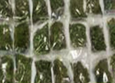 Arrestan a 3 presuntos narcomenudistas en Edomex