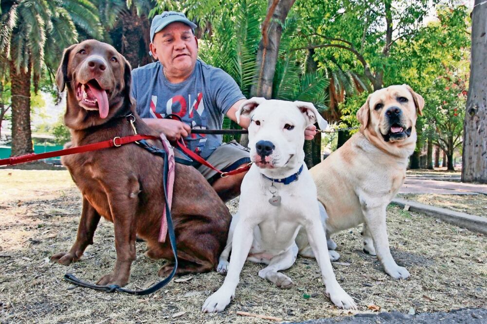 Autoridades pidieron atender los siguientes síntomas de envenenamiento: vómito frecuente, temblores, desmayo o temperatura (ARCHIVO EL UNIVERSAL)
