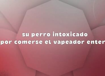 “Víctor, el chico más guapo de la cuadra…”: Gobierno lanza canción contra vapeadores