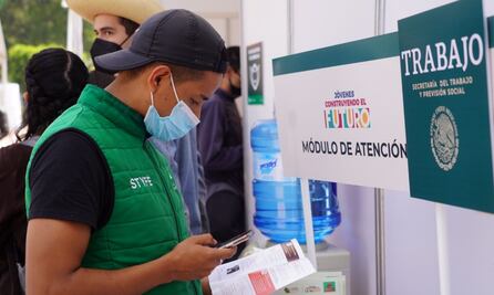 Estima STPS que en dos meses se recuperen empleos perdidos por pandemia