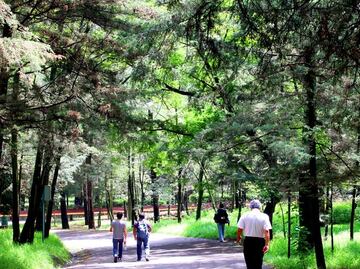 Detienen a otro violador de mujeres en Bosque de Tlalpan