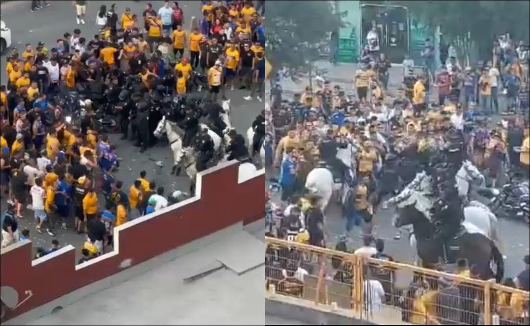 La barra brava Libres y Lokos golpeó a policías y a sus caballos / Foto: Especiales