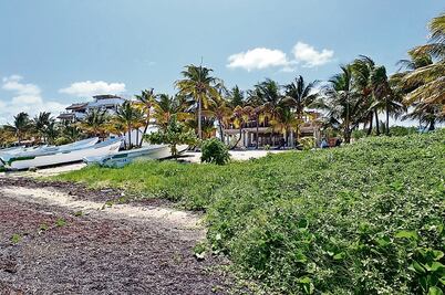 Contendrán sargazo en Quintana Roo con barreras antiderrames