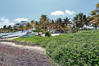 Contendrán sargazo en Quintana Roo con barreras antiderrames