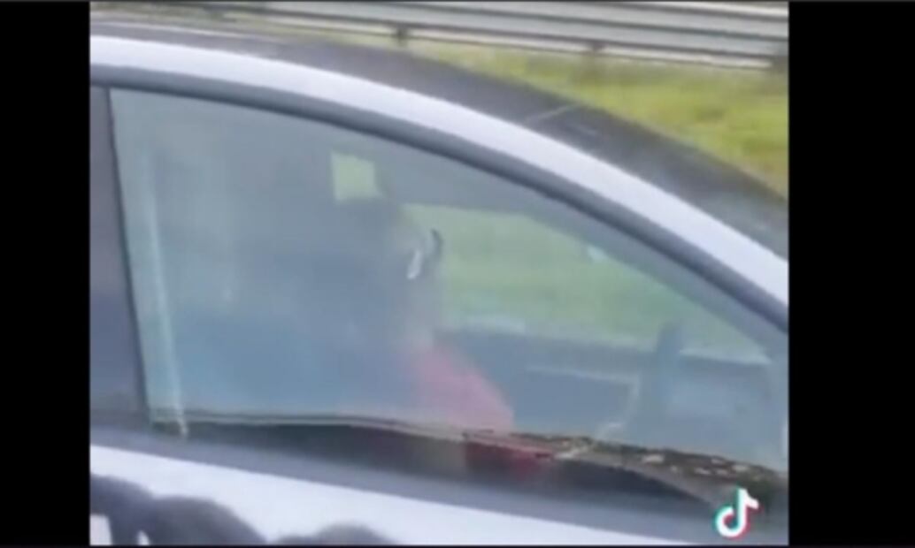 VIDEO: Captan a mujer que conducía Tesla en EU... ¿dormida? 