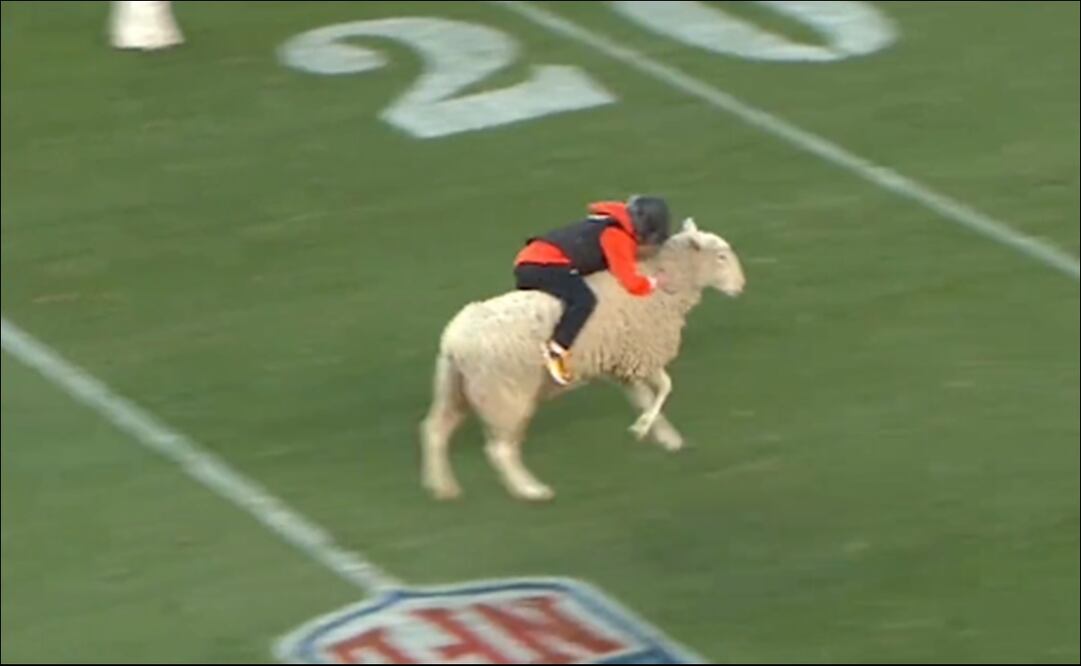 El insólito show de medio tiempo de los Broncos / Foto: Especiales