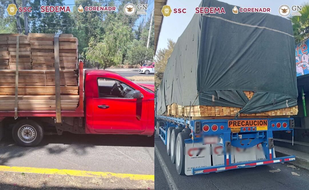 Aseguran madera ilegal en Tlalpan e Iztapalapa (30/04/2025). Foto: Especial