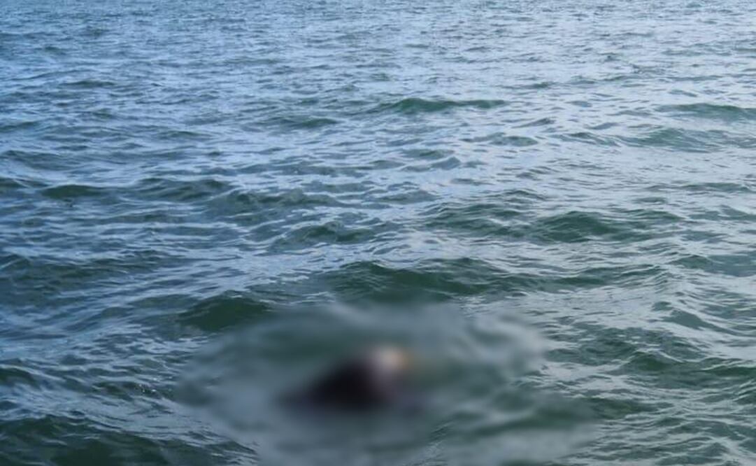 Localizan los cuerpos de dos de los cuatro pescadores desaparecidos en Navolato