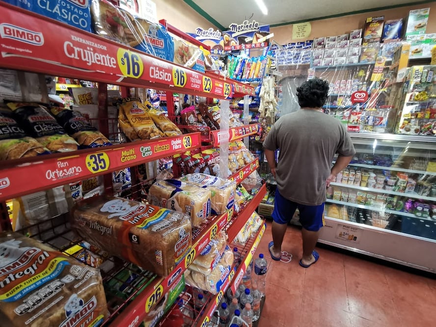 Foto: Edwin Hernández