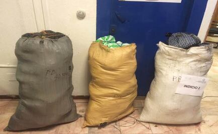 Decomisan opio y mariguana en Chiapas