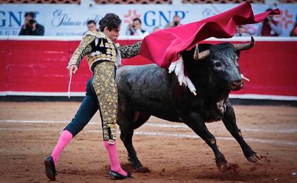 Para la Suprema Corte, las corridas de toros y peleas de gallos no deben ser patrimonio cultural inmaterial