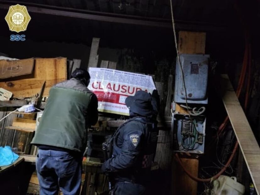 Clausuran bodega clandestina de madera en Tláhuac durante operativo contra tala ilegal y aserraderos
