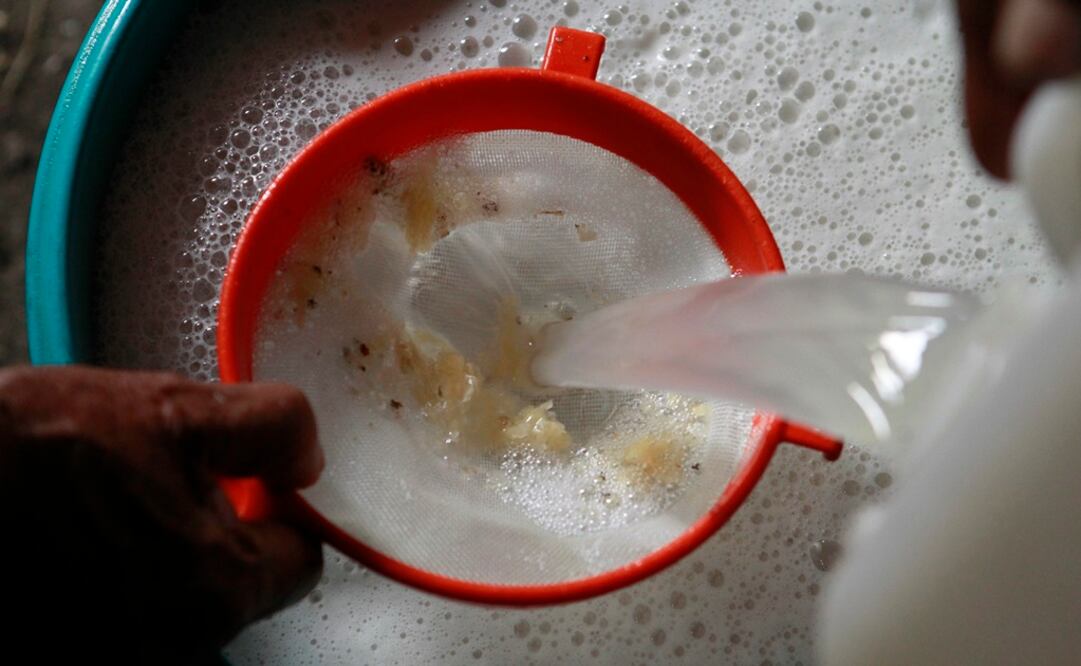 Mitos y leyendas rodean la historia del ancestral pulque. Foto: 