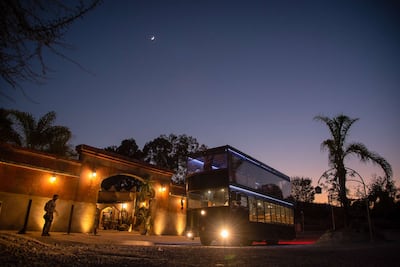 Moon Safari: la nueva experiencia nocturna en Africam Safari