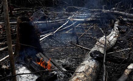 ¿Qué provocó los incendios forestales en la Amazonía brasileña?
