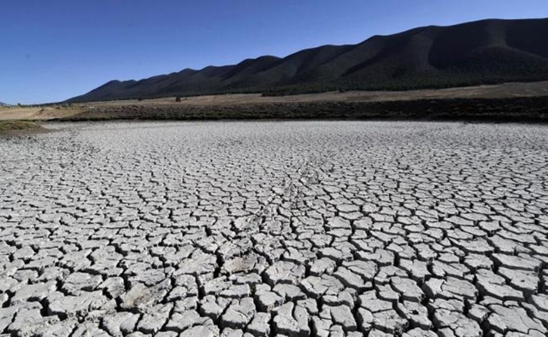 Foto: Archivo EL UNIVERSAL