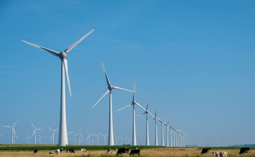 México busca elevar la participación de las energías renovables en la generación eléctrica, con la meta de alcanzar 38% hacia 2030 Foto: iStock
