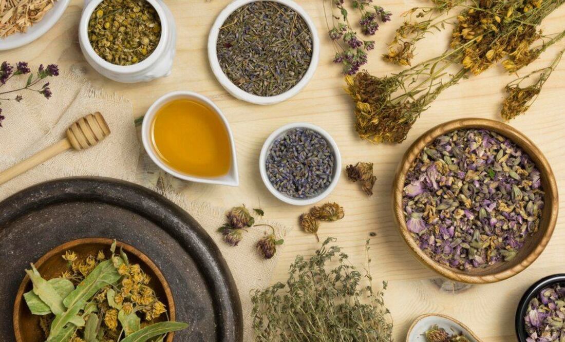 El poder curativo de las hierbas medicinales. Fuente: Freepik.