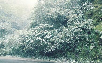 Sierra de Hidalgo registra nevada y temperaturas bajo cero