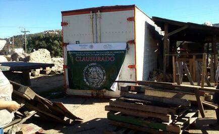 Profepa clausura horno de tratamiento térmico en BC