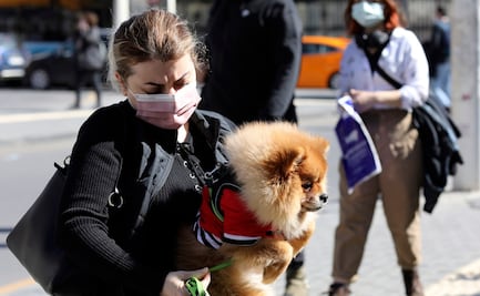 Rusia produce primer lote de vacunas contra Covid-19 para animales