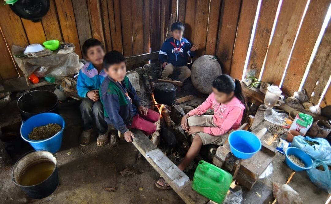 Primos y hermanos comen juntos; la dieta es principalmente tortillas y quelites de hierba mora. Los ingresos de las familias son de 50 a 200 pesos a la semana, los obtienen de la venta de maíz o frutos de la zona. (FOTO: Salvador Cisneros Silva)