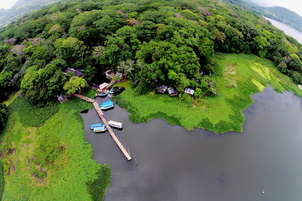 Escapa del caos de la ciudad y adentrate en las profundidades de la selva para conocer la fauna y conectarte con la naturaleza. (Foto: Cortesía Reserva Ecológica Nanciyaga)