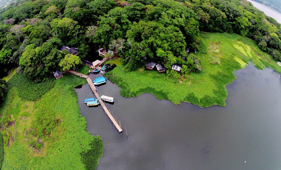 Escapa del caos de la ciudad y adentrate en las profundidades de la selva para conocer la fauna y conectarte con la naturaleza. (Foto: Cortesía Reserva Ecológica Nanciyaga)
