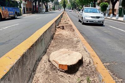 Derribo de 50 árboles en GAM inconforma a vecinos con Línea 7