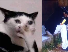 La Granja VIP: quinta noche de asamblea deja lluvia de los mejores memes