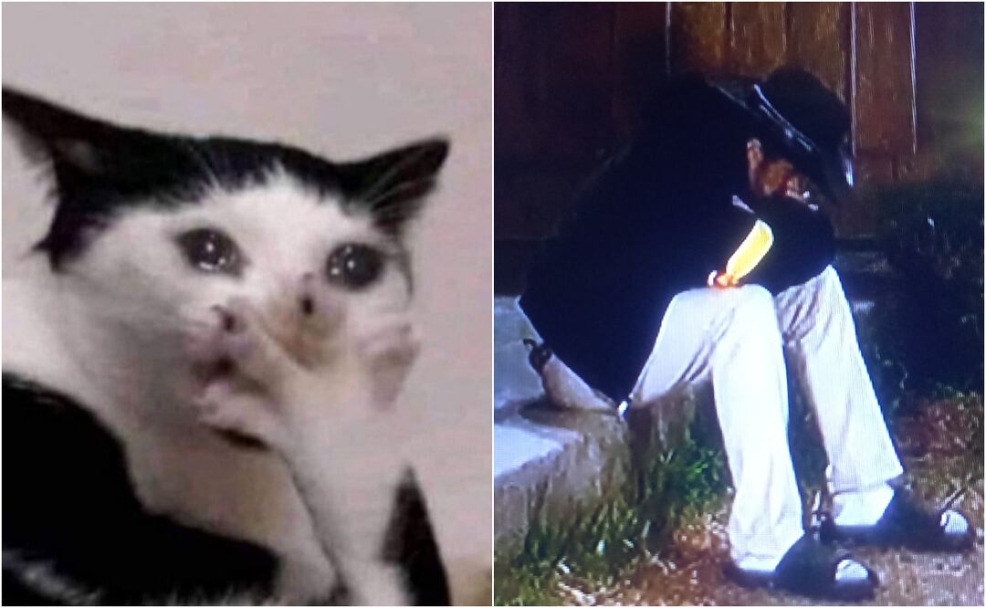 Los mejores memes que dejó la quinta noche de asamblea en La Granja VIP. Foto: X