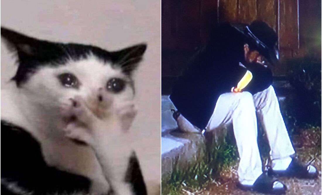 Los mejores memes que dejó la quinta noche de asamblea en La Granja VIP. Foto: X