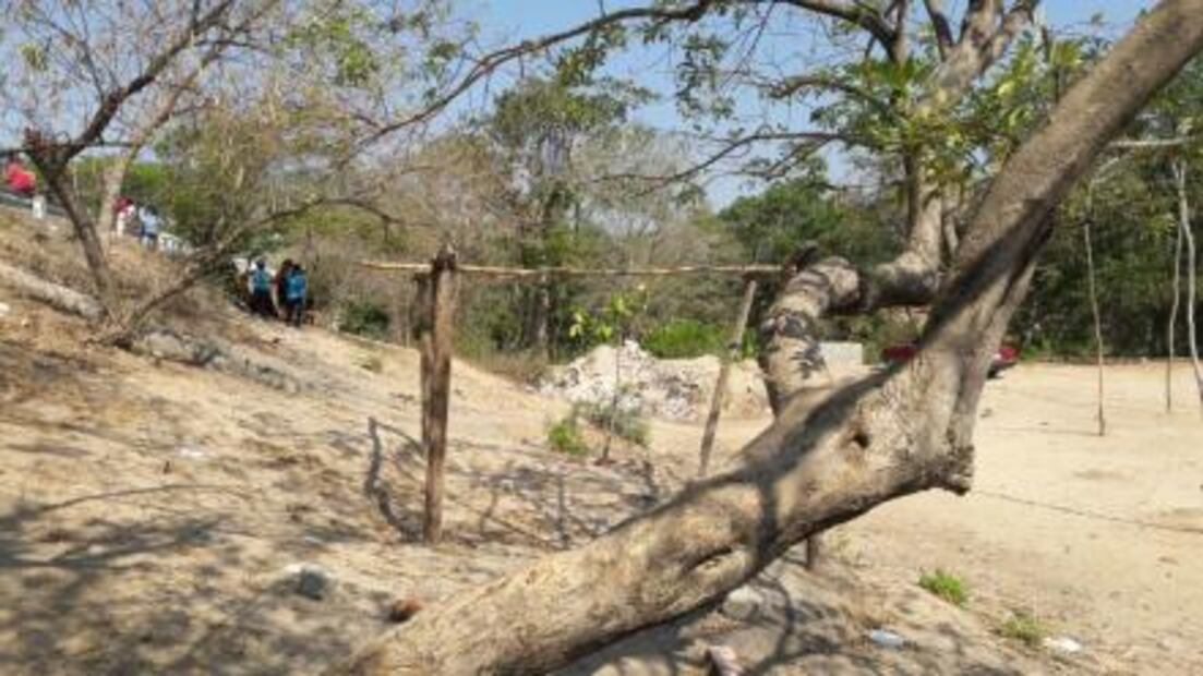 Asesinan a tesorera municipal frente a su hijo en Oaxaca