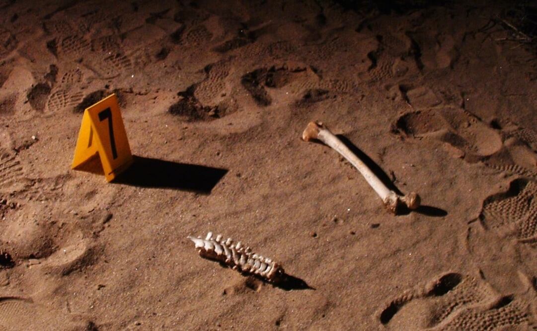 Skeletal remains - Photo: Bárbara Vázquez/EFE