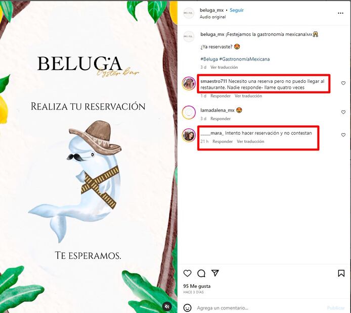 Beluga en Instagram. Foto: Captura de pantalla