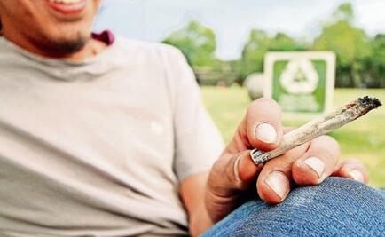 Positions of Mexico's parliamentary leaders on marijuana