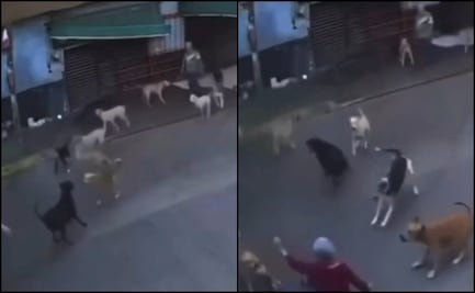 Ataque de perros en Cuautla, Morelos; jauría agrede a adulta mayor