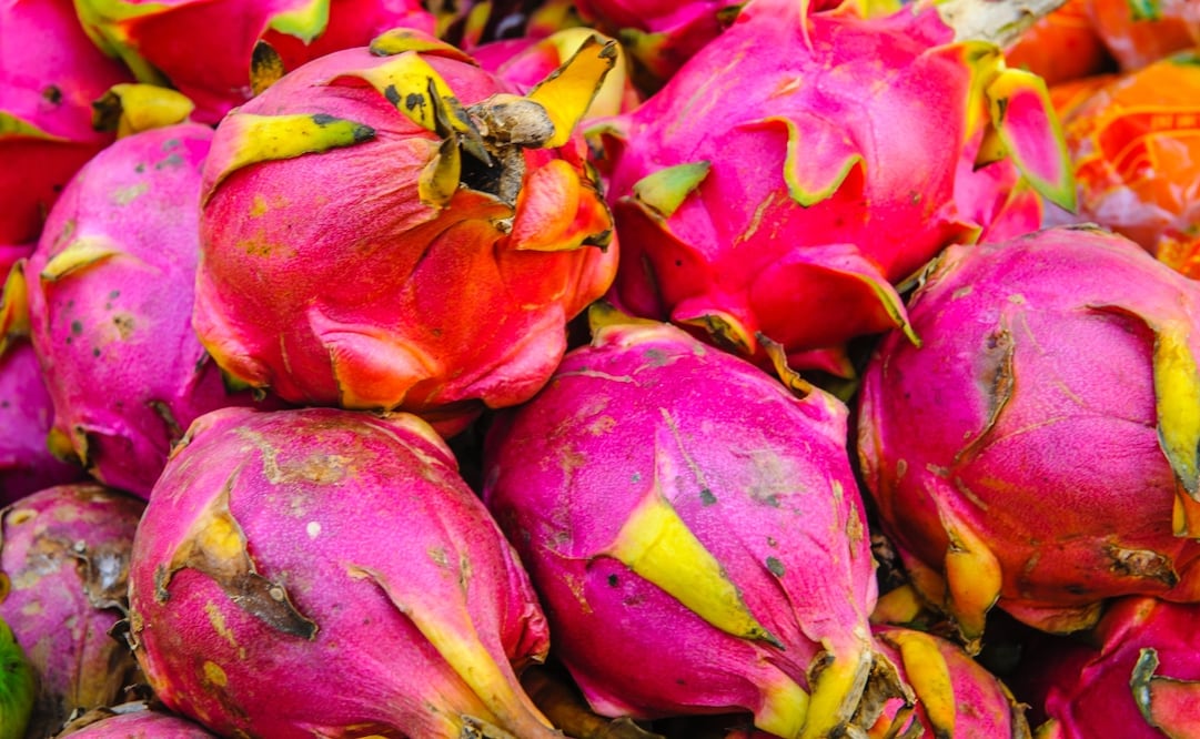 La pitahaya y la pitaya son frutas exóticas de sabores muy peculiares que tienes que probar. Mayo es época de estas frutas. Foto: Unsplash