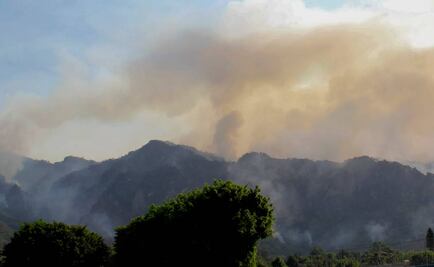 Incendio en Tepoztlán, controlado al 100%: Graco