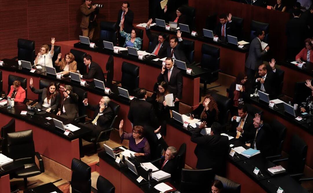 BERENICE FREGOSO EL UNIVERSAL