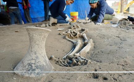 Descubren 145 osamentas prehispánicas en Zacatenco