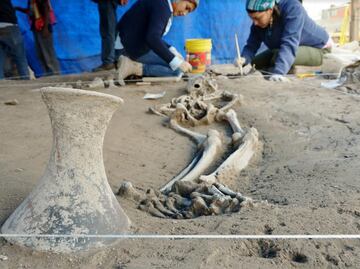 Descubren 145 osamentas prehispánicas en Zacatenco