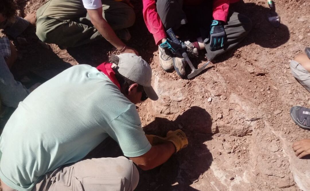 Foto: Twitter - CTyS UNLaM