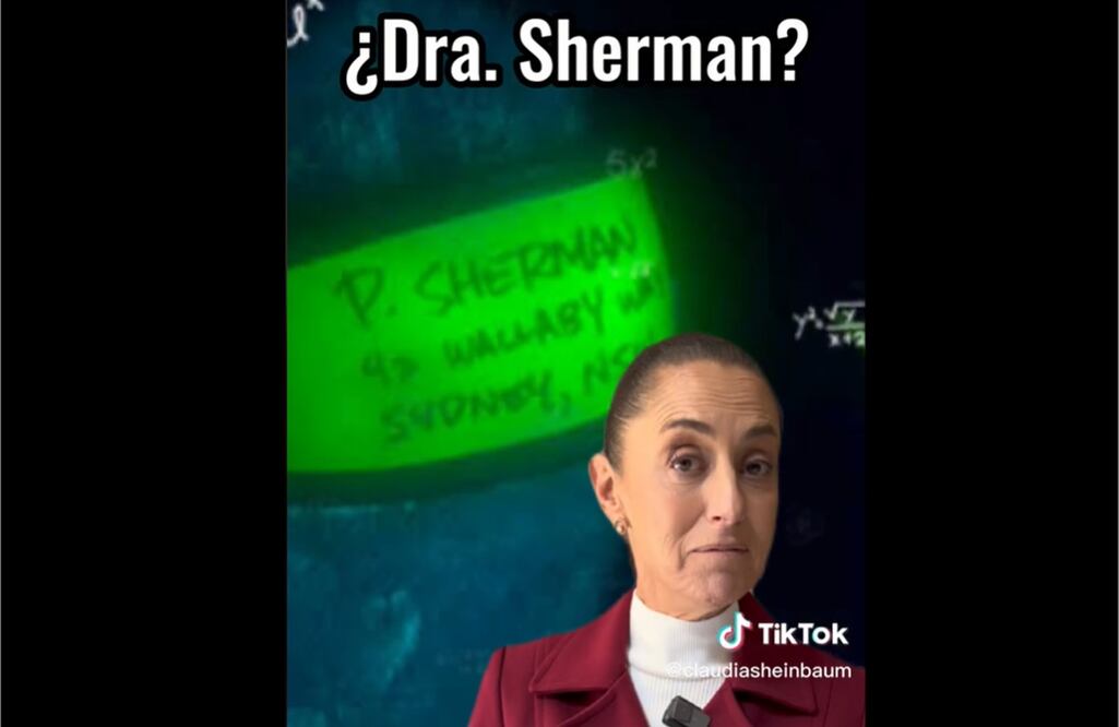 FOTO: captura tomada de TikTok / EL UNIVERSAL/