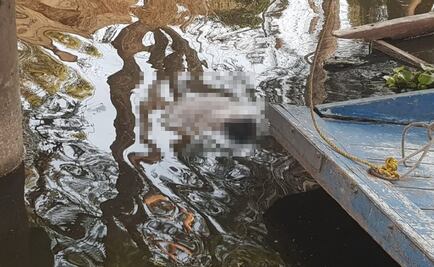 Hallan cuerpo flotando en canal de Xochimilco