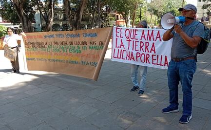 Activistas ambientales advierten sobre riesgo en manglares de la Costa de Oaxaca por desarrollo inmobiliario 